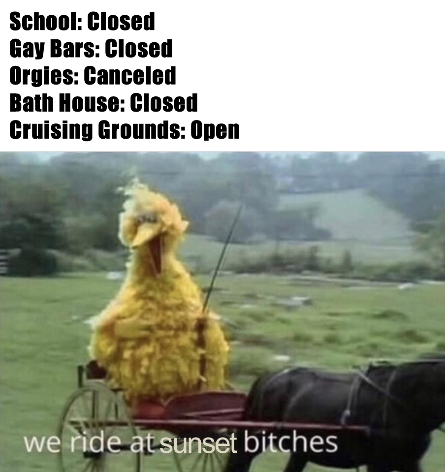 This meme features a picture of a cartoon character, likely Big Bird from Sesame Street, sitting in a carriage. The image is captioned with a list of things that were closed or canceled due to the COVID-19 pandemic, including "School: Closed", "Gay Bars: Closed", "In-N-Out Burger: Closed", and "The Office: Closed".